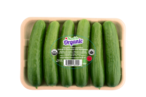 Cucumber 6 pack