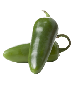Organic jalapeño pepper