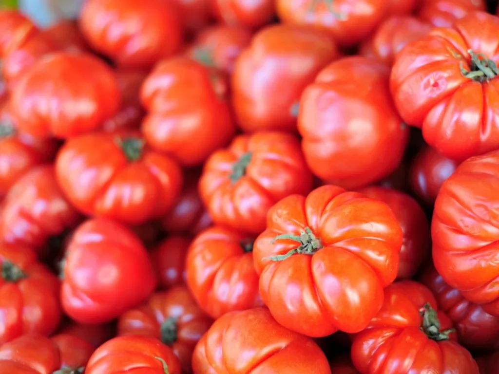 beefsteak tomatoe